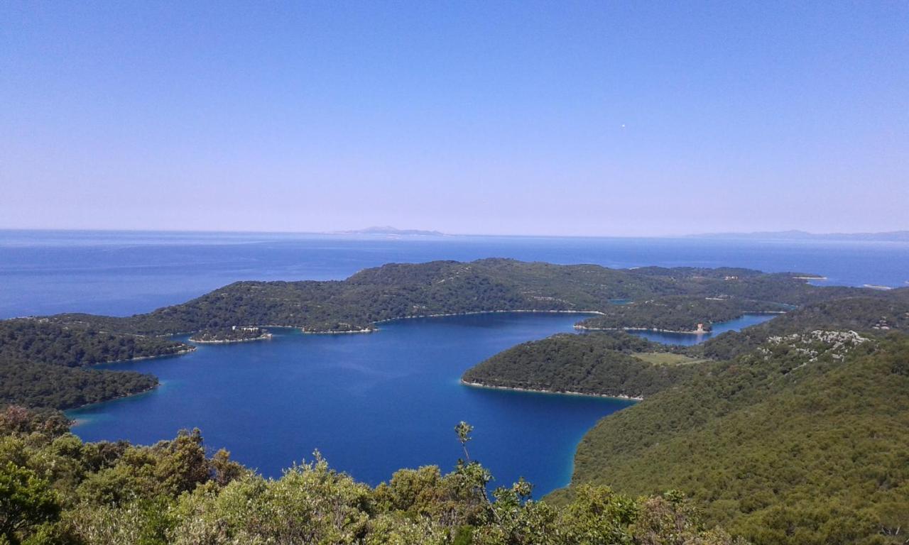 Апартаменты Sunny Side Of Mljet Babino Polje Экстерьер фото